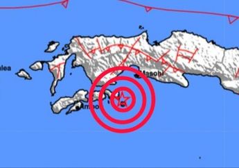 Gempa Terkini, Masyarakat di 3 Wilayah Indonesia Rasakan Gempa Magnitudo 3,7 Dalam Waktu Hampir Bersamaan