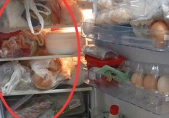 Mending Buang Kulkas Kalau Masih Simpan Makanan ini di Dalamnya, Akibatnya Bisa Buat Uang Bulanan Habis Seketika!