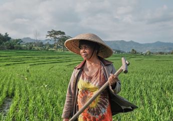 Dewi Sri, Sosok Perempuan Sebagai Penjaga Kemakmuran Alam Semesta