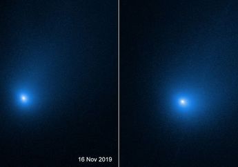 Borisov Tidak Langka, Ada Banyak Komet Antarbintang di Awan Oort