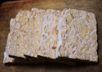 Tolong Mulai Hari Ini Jangan Lagi Simpan Tempe Di Kulkas, Bukannya Awet Malah Bisa Jadi Bencana Buat Keluarga Di Rumah