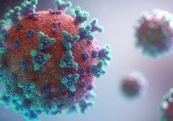 Bukan Vaksin Covid-19, Ilmuwan Beberkan Penemuan Terbaru Antibodi Terkuat yang Paling Ampuh Melawan Virus Corona, Ternyata Bukan dari Vaksinasi Tetapi Justru dari Kondisi Ini