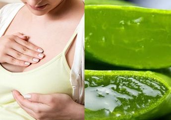 BERITA POPULER : Manfaat Meletakkan Tepung Beras di Payudara Sampai Khasiat Lidah Buaya Beku untuk Kulit