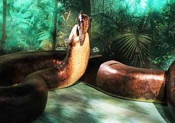 Titanoboa, Monster Ular Terbesar dan Paling Mengerikan di Bumi