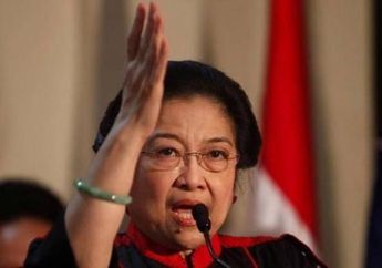 Ketum PDIP Megawati Punya Harta Rp 214 Miliar, Mobil Paling Mahalnya Apa Ya?