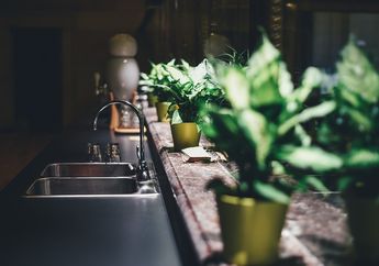 Bak Cuci Piring di Rumah Berbau Tak Sedap? Coba Hilangkan dengan Garam hingga Baking Soda, Begini Cara Mudahnya