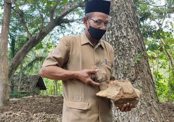 Dikira Batu Biasa hingga Dijadikan Ganjalan, Guru di Kulon Progo Syok Usai Tahu Benda di Rumahnya Merupakan Fosil Hewan Purba, Begini Endingnya