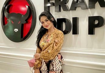 Pantas Enteng Bayar Perawatan Wajah Mahal, Krisdayanti Keceplosan Bongkar Gaji Anggota DPR Bisa Ratusan Juta, Ternyata Begini Faktanya yang Mengejutkan!
