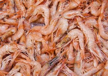 Rugi Kalau Gak Tahu! Jangan Pernah Lagi Buang Kulit dan Kepala Udang Mulai Hari ini, Di Luar Negeri Ternyata Malah Jadi Rebutan!
