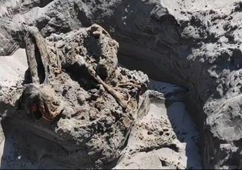 Geger Penemuan Tulang Belulang Manusia di Pantai Parangkusumo Bantul, Tim SAR Lakukan Penelusuran Bongkar Fakta Mencengangkan Soal Kerangka Manusia Ini