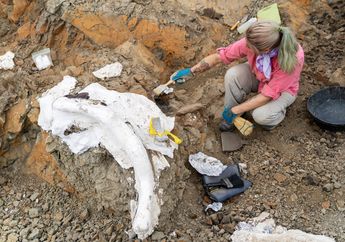 Empat Dinosaurus Ditemukan di Montana, Salah Satunya Mirip Burung Unta