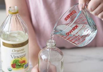 Tak Akan Menyesal Mencobanya, Begini Cara Membersihkan Sofa yang Terkena Tinta dengan Bumbu Dapur!