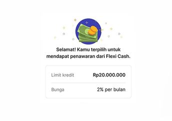 Wajib Tahu Apa Itu Jenius Flexi Cash, Lebih Mudah dari Shopee Pinjam?