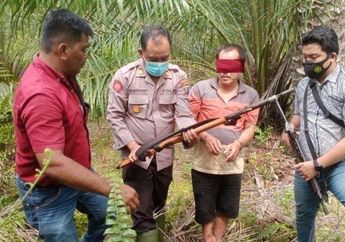 Dikira Babi Hutan, Seorang Nenek Jadi Korban Penembakan Saat Sedang Kumpulkan Brondolan Sawit, Begini Pengakuan Menghebohkan sang Pelaku
