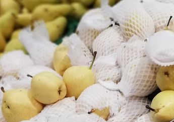 Anda Pasti Menyesal Kalau Masih Buang Jaring Bekas Buah, Ternyata Ini Segudang Manfaatnya yang Hampir Tak Pernah Diketahui