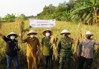 Bakti untuk Negeri Sharp Mapan Hasilkan Panen Pertama untuk Masyarakat Pra Sejahtera di Karawang