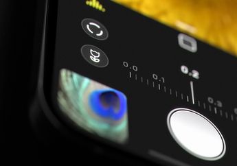 Update Halide Camera Mendukung Macro Mode Mulai dari iPhone 8