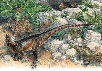 Pendraig milnerae, Spesies Baru Dinosaurus Seukuran Ayam dari Wales