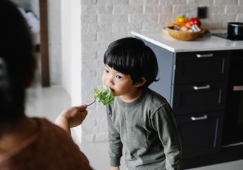 4 Rekomendasi Menu Makanan Harian untuk Anak Penderita Diabetes