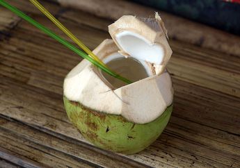 Pikir-pikir Dulu Sebelum Minum Air Kelapa, Jangan Konsumsi Kalau Alami Kondisi Ini, Jika Tak Mau Mati Muda