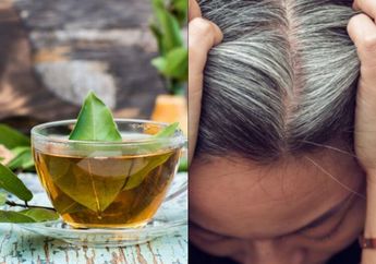 Pasti Nyesel yang Buru-buru Pakai Semir Rambut, Ternyata Uban Bisa Cepat Hilang dengan Daun Salam, Begini Caranya