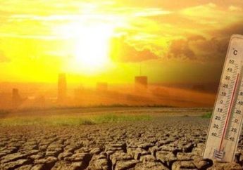 Heboh Soal Gelombang Panas, Ternyata Ini Penyebab Sebenarnya Suhu di Indonesia Meningkat hingga Capai 36 Derajat Celsius