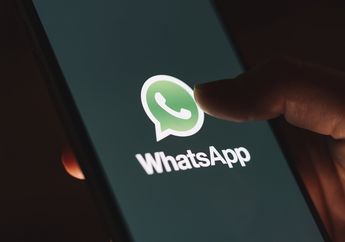 Whatsapp Hapus Fitur Download Otomatis di Disappearing Messages, Ini Tujuannya!
