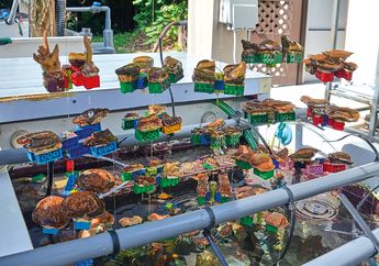 Apakah Lego Dapat Membantu Menyelamatkan Terumbu Karang di Singapura?