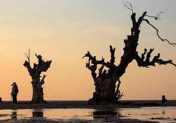 Perhatikan Tips Berikut Jika Hendak Berpelesir ke Pulau Rote