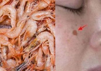BERITA POPULER : Bagian Udang yang Ternyata Membahayakan Tubuh Sampai Hilangkan Flek Hitam dengan Pisang