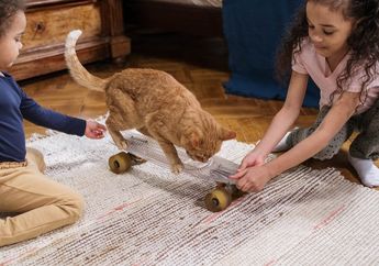 Berperan Sama Jika Anak Takut Hewan, Dads Bisa Lakukan Hal Ini Agar Si Kecil Dapat Manfaatnya