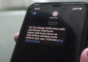 Cara Cek Kuota Internet Gratis dari Kemendikbud, Cair Sebentar Lagi!