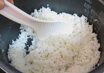 Turun Berat 3 Kg Hanya dalam Waktu Seminggu Menggunakan Nasi Putih, Begini Cara Dietnya Mudah dan Gak Ribet!