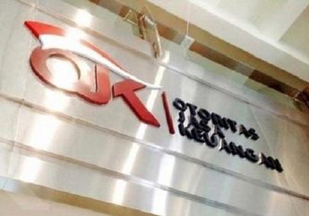 Izin Usaha OVO Finance Dicabut OJK, Bagaimana Nasib OVO di iOS?