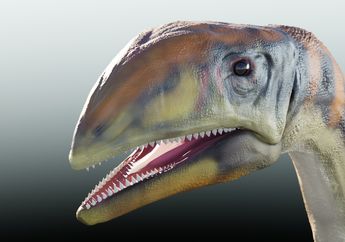 Paleontolog Temukan Spesies Dinosaurus Pertama yang Hidup di Greenland