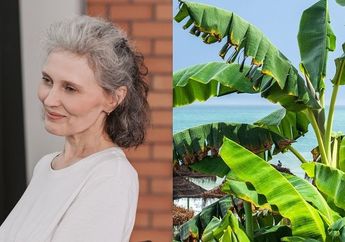 Uban Bisa Hilang Tak Bersisa, Cukup Modal Daun Pisang Bisa Kembalikan Rambut Jadi Hitam Alami, Nyesel Kalau Gak Nyoba!