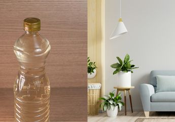 Pasti Banyak yang Enggak Tahu, Cuma Modal Cuka Tak Disangka Bisa Bikin Aroma Busuk di Rumah Jadi Kembali Segar, Begini Caranya