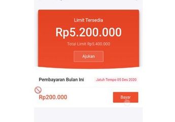 Mudah Begini Cara Nonaktifkan Shopee Pinjam Tanpa Hapus Akun