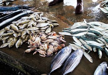 Catatan untuk Para Ibu Di Rumah, Jangan Lagi Sajikan Ikan Jenis Ini Di Meja Makan, Diam-Diam Bisa Bikin Keluarga Terserang Kanker Otak!