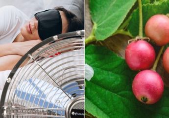 BERITA POPULER : Bahaya Tidur dengan Kipas Angin Menyala Sampai Manfaat Minum Air Rebusan Daun Kersen