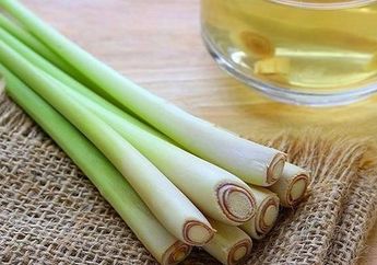 Bukan Sehat Malah Datangkan Petaka! Air Rebusan Serai punya Efek Samping bagi Kesehatan yang Bikin Tercengang