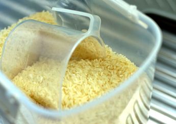 Tolong Ingatkan Pembantu dari Sekarang! Coba Malam ini Simpan Daun Jeruk di Penyimpanan Beras, Siap-siap Kaget Saat Buka Rice Box Besok Pagi