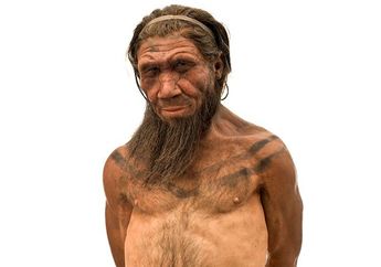 Pertumbuhan Gigi pada Neanderthal Lebih Cepat Daripada Manusia Modern