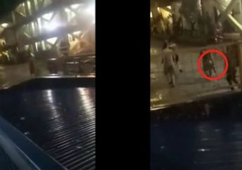 Nasi Sudah Jadi Bubur, Foto Brimob Ribut Sama Kopassus di Papua Terlanjur Viral, Ternyata Kalap Dagangannya Ditilap Karyawan Tambang