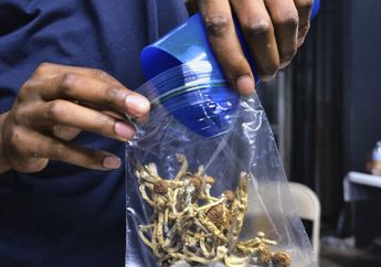 Uji Klinis Terbaru: Halusinogen Dalam 'Jamur Ajaib' Redakan Depresi