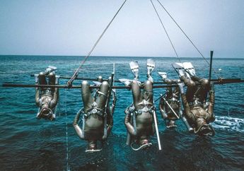 Jaques-Yves Cousteau: Tokoh Penemu Penyelaman Bawah Laut Moderen