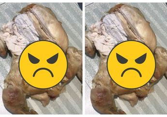 Buatnya Bergidik Ngeri, Pria Ini Syok Temukan Benda Menjijikan Ada di Dalam Perut Ayam yang Baru Dibelinya, Faktanya Mengejutkan