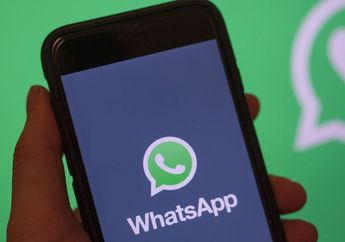 Cara Verifikasi Whatsapp dan Dapatkan Centang Hijau, Cek Satu Hal Ini!