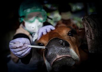Bincang Redaksi-38: Ancaman Pagebluk Baru terhadap Ketahanan Pangan