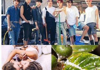 Berita Terpopuler: Harga Tiket Konser BTS Permission Dance on Stage LA hingga 5 Tips Membersihkan Kutu Putuh di Tanaman